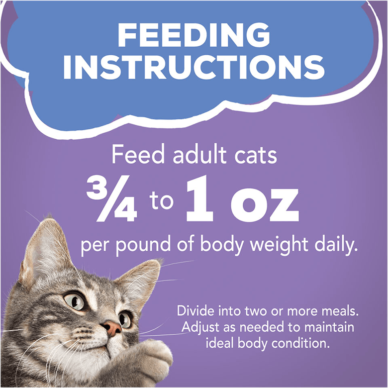 Friskies Shreds Turkey & Cheese Dinner in Gravy Adult Wet Cat Food 5.5oz - Donations - Image 4