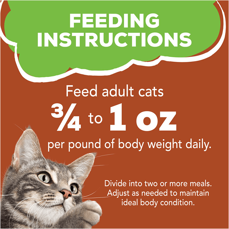 Friskies Paté Mixed Grill Adult Wet Cat Food 5.5oz - Donations - Image 3