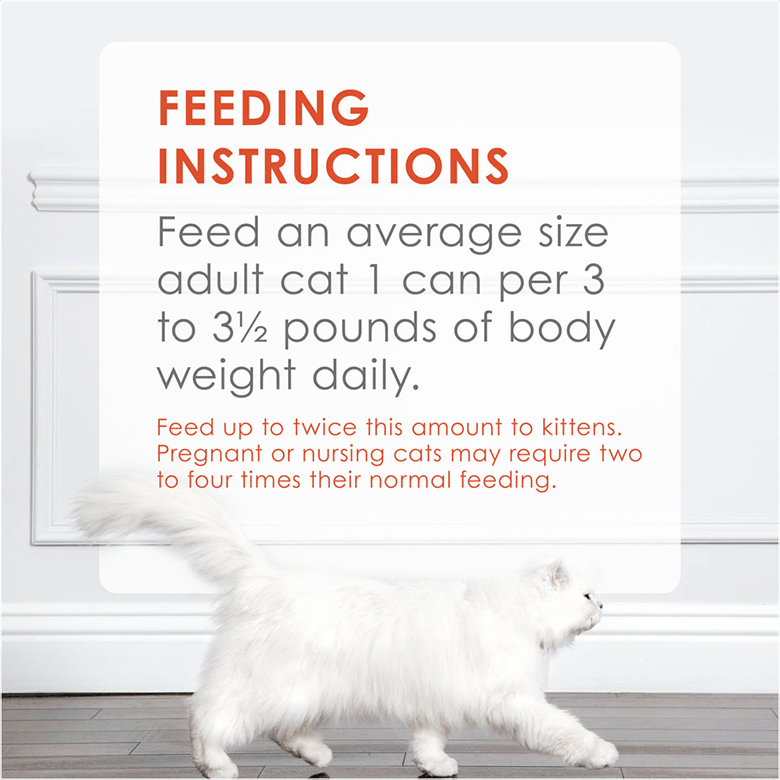 Fancy Feast® Classic Paté Savory Salmon Gourmet Wet Cat Food 3oz - Image 3