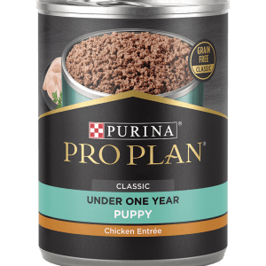 Purina Pro Plan Development Puppy Chicken & Rice Entrée Classic Wet Dog Food 13oz