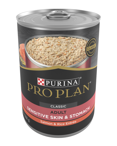 Purina Pro Plan Adult Sensitive Skin & Stomach Salmon & Rice Entrée Wet Dog Food 13oz