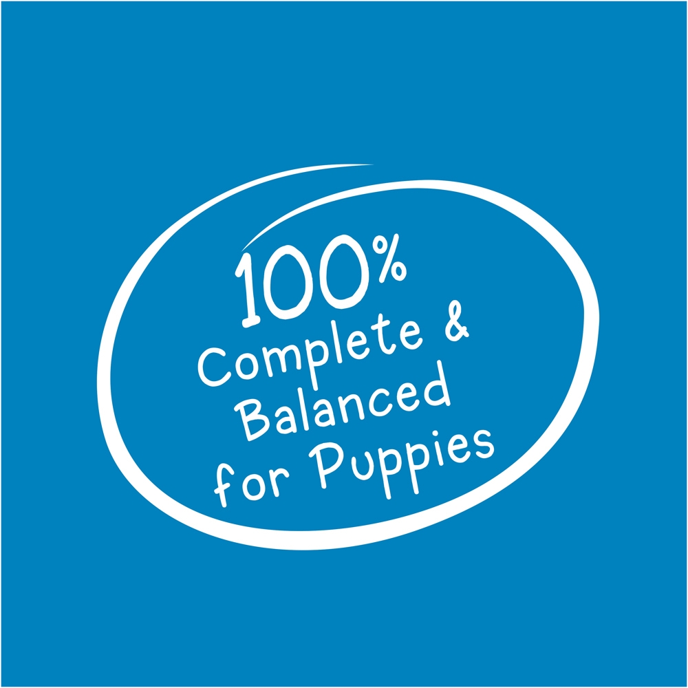 Purina Puppy Chow Wet Canned Puppy Dog Food with Real Chicken 5.5oz - Donations - Image 3