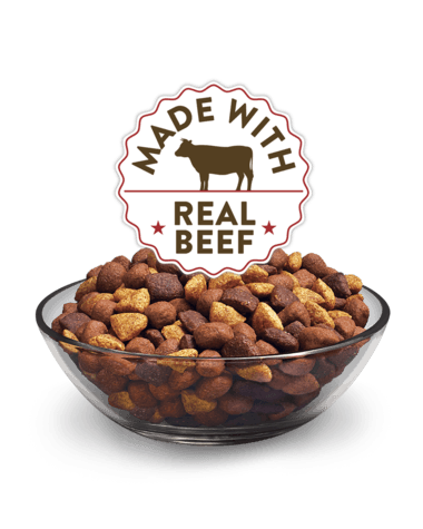 Purina Dog Chow Beef Adult Dry Dog Food  - Donations - Image 3