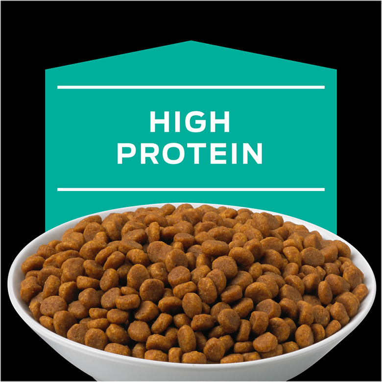 Pro Plan Veterinary Diets EN Gastroenteric Feline Formula 6lb - Image 6