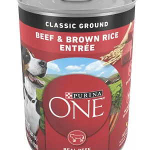 Purina ONE Beef & Brown Rice Entrée Classic Ground Wet Dog Food 13oz