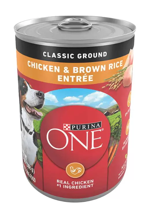 Purina ONE Chicken & Brown Rice Entrée Tender Cuts in Gravy Wet Dog Food 13oz