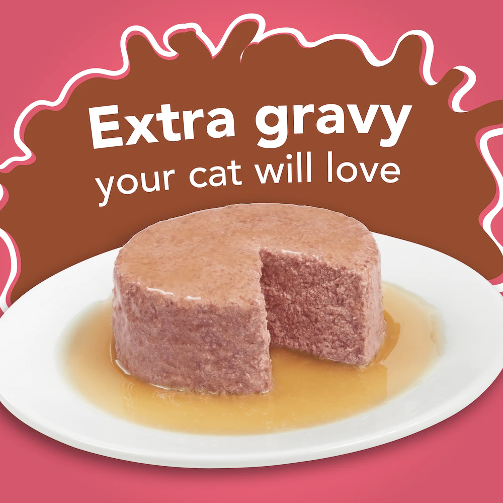 Friskies Extra Gravy Paté With Salmon In Savory Gravy Wet Cat Food 5.5oz - Image 2