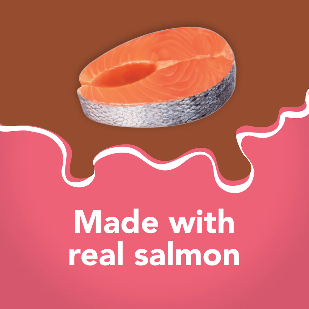 Friskies Extra Gravy Paté With Salmon In Savory Gravy Wet Cat Food 5.5oz - Image 3