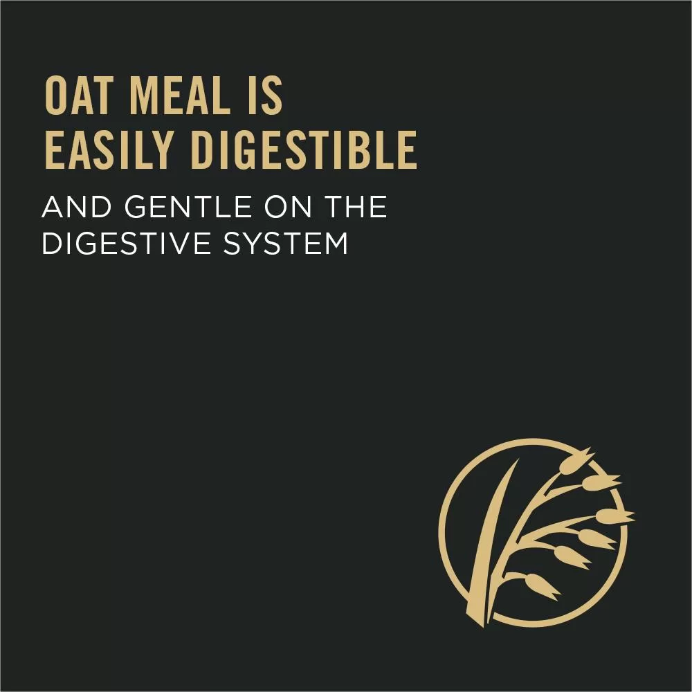 Pro Plan Adult Sensitive Skin & Stomach Lamb & Oat Meal Formula - Image 3