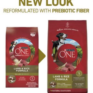 Purina ONE® SmartBlend® Lamb & Rice Formula Natural Adult Dog Food