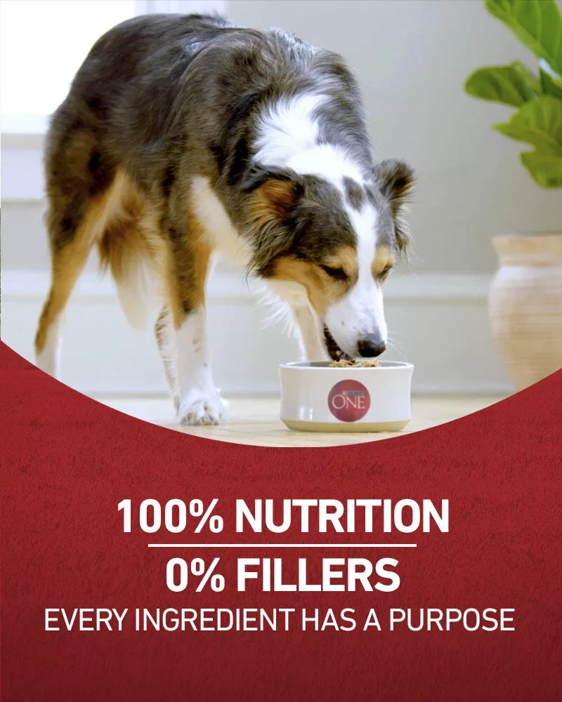 Purina ONE Plus Natural Lamb & Rice Dry Dog Food – 40lb Bag, Protein-Rich For Adult Dogs
