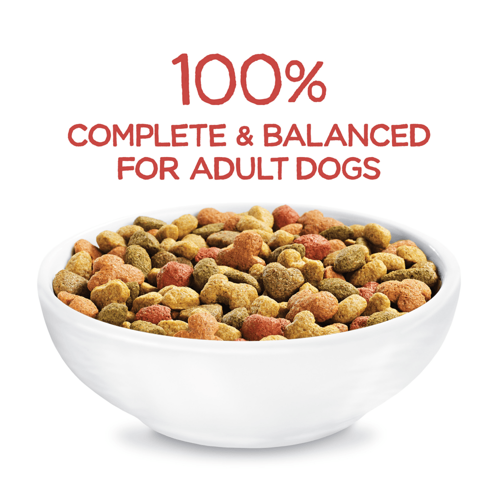 Beneful Originals Dry Dog Food with Natural Salmon 14lb Purina Express