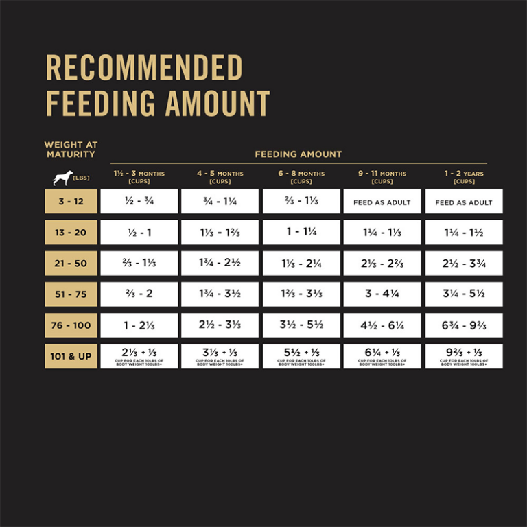 Purina Pro Plan Puppy Chicken Rice Formula Purina Express