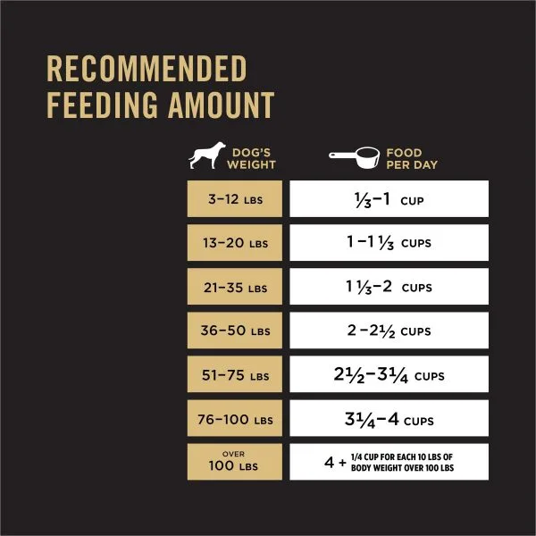 Purina Pro Plan Adult Sensitive Skin & Stomach Salmon & Rice Formula - Image 2
