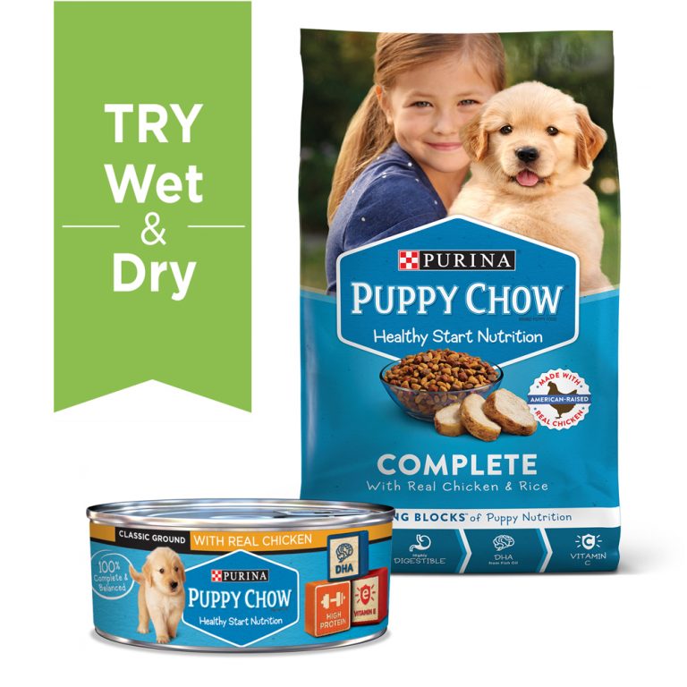 Purina Puppy Chow Wet Canned Puppy Dog Food with Real Chicken 5.5oz ...