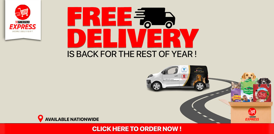 Free delivery web banner mobile