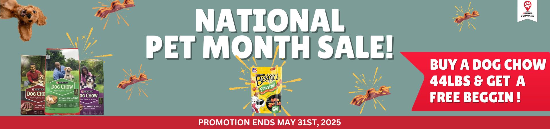 Purina Express Pet Month Sale Banner (Desktop)