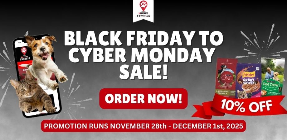 Black Friday - Cyber Monday Sale (Mobile) (2)